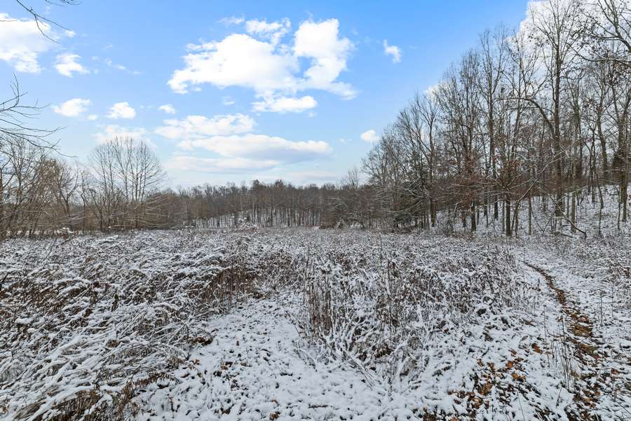 33-0 Waggener Ch-Chalbeate Rd Clay KY 42404_20251203_033.jpg